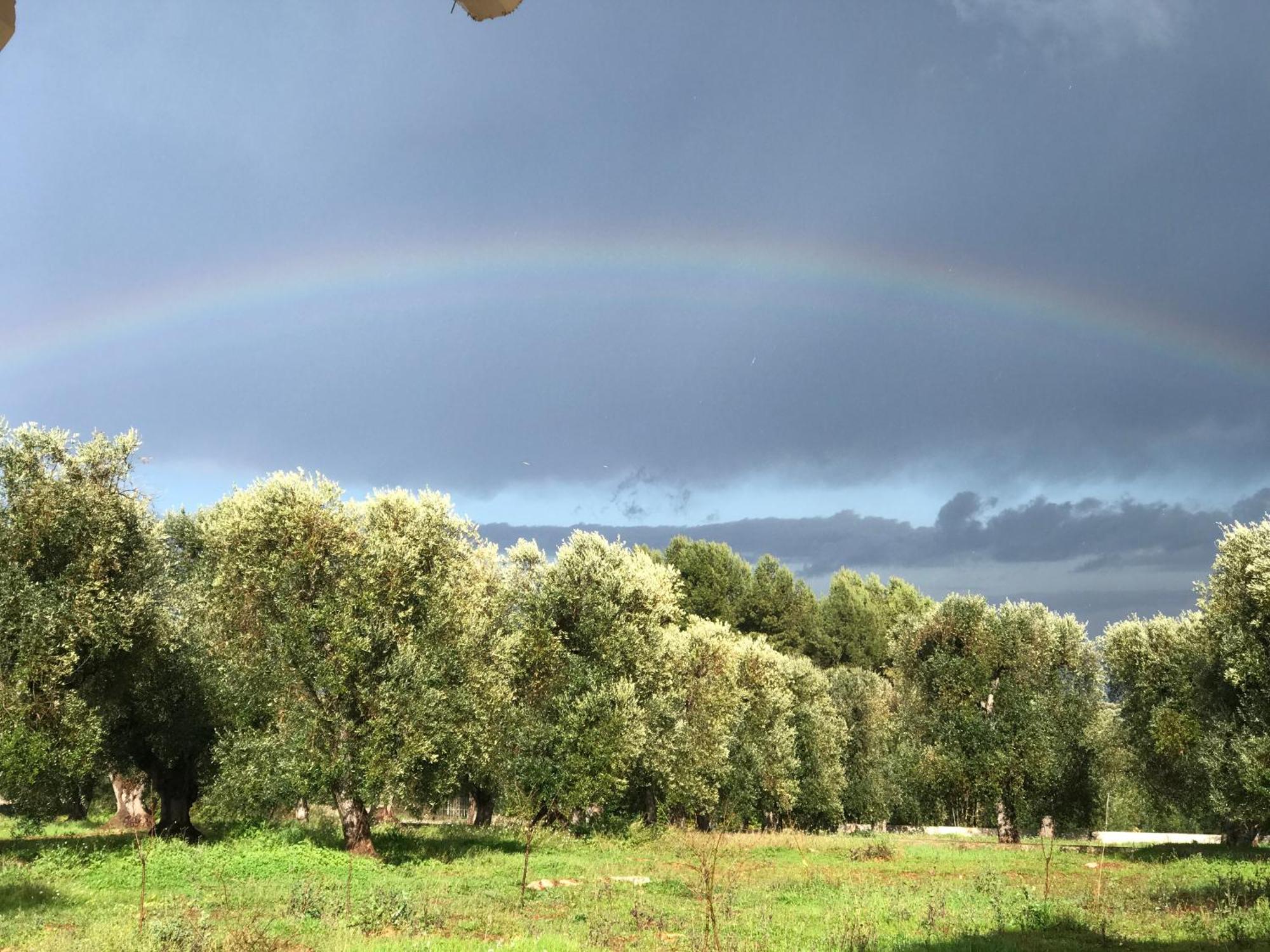 Tenuta La Pomona Остуні Екстер'єр фото